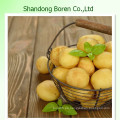 Patata fresca de alta calidad de Shandong